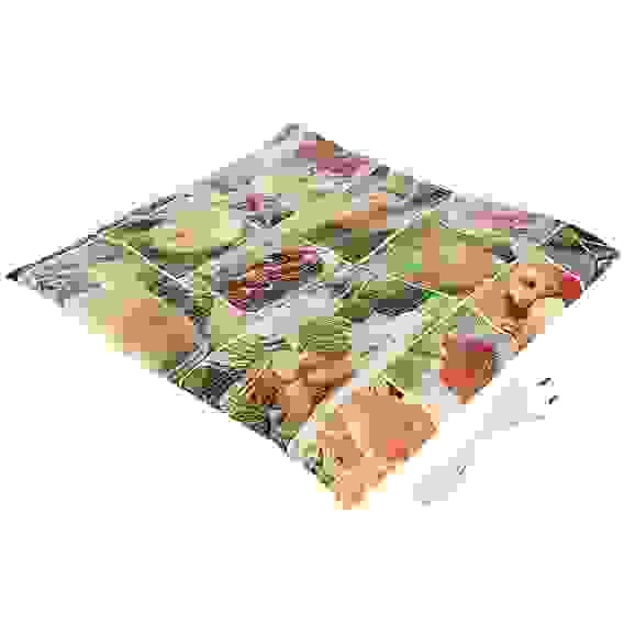 Сушилка для овощей и фруктов &quot;Самобранка&quot;, 50х50см