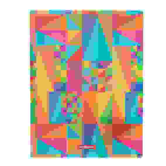 Папка A4 на 2х кольцах, пластик с цв.печатью, 47156 Erich Krause