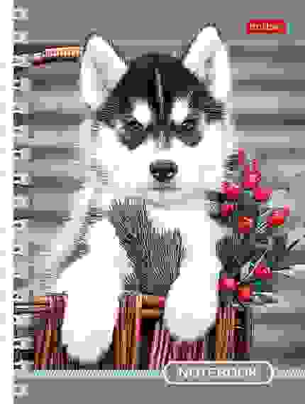 Записная книжка 140л А6ф клетка на гребне серия -Любимцы-