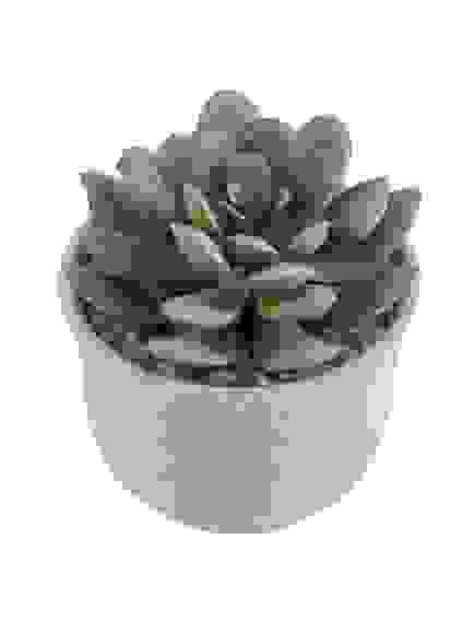 Горшок \"Эхеверия\"