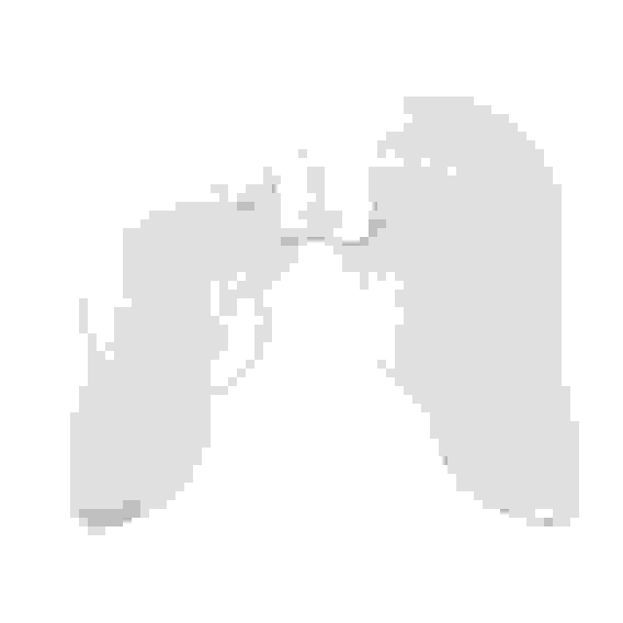 Крылья &quot;Ангел&quot;