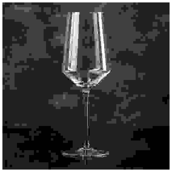 Бокал для вина \"Густав\" 450 мл, 9,5х27 см 3907362