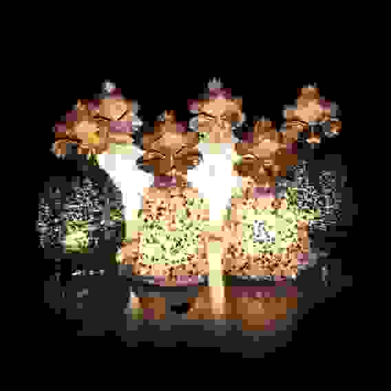 Сувенир \"Фея в бальном платье\", полистоун, полиэстер, 21см, LED, 6 дизайнов СНОУ БУМ