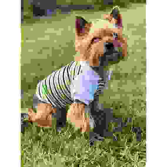 Футболка-поло Osso для собак, размер 25 (ДС 25, ОГ 24-26 см), зелёная 5376870