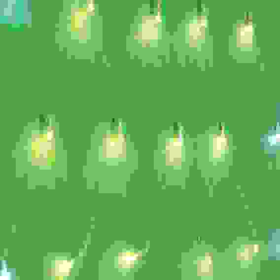 Гирлянда эл. бахрома-сетка 100LED, 2,5х0,5м, шампань, мерцание 20 LED, ПВХ прозрач., 220В СНОУ БУМ