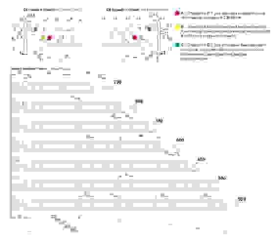 Направляющие роликовые 400мм белые (до 10кг) Boyard