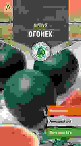 Семена арбуз Огонек ранний 1г Тимирязевский питомник