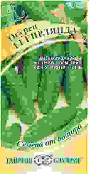 Семена огурец Гирлянда F1 Авторские 10шт Гавриш