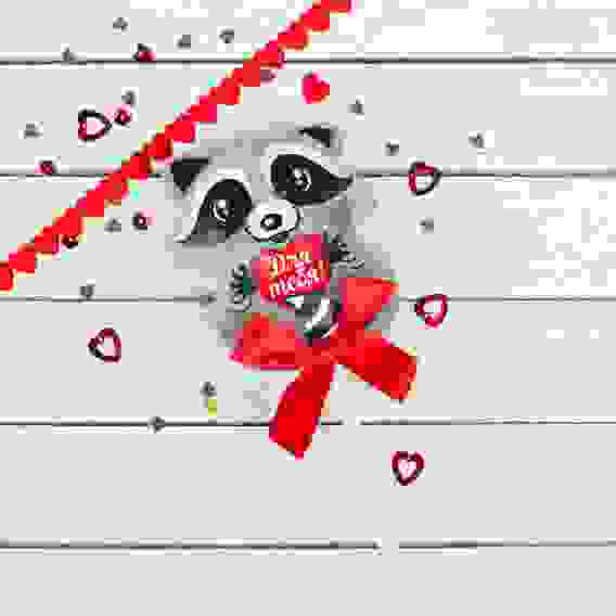 Мягкая игрушка на палочке «Для тебя», енотик