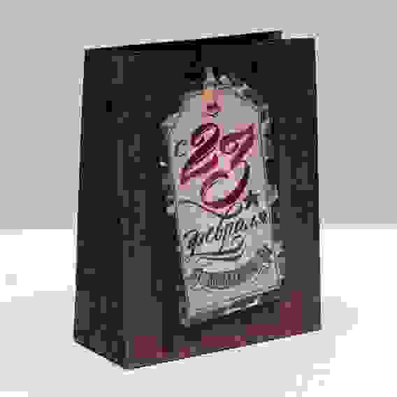 Пакет ламинированный вертикальный «Поздравляю с 23 Февраля», S 12 × 15 × 5,5 см 2557297