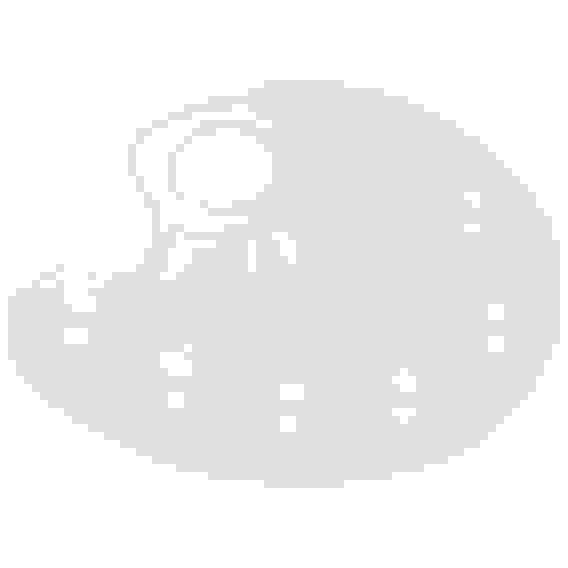 Палитра художника Гамма, 10 ячеек, пластик