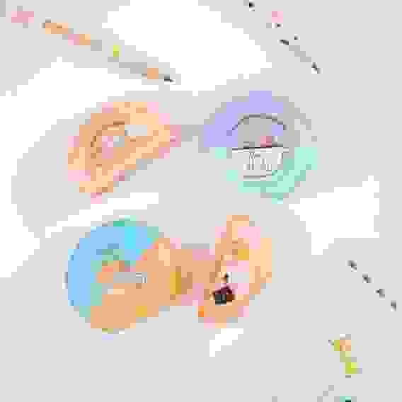 Точилка пластиковая MESHU &quot;Beary beary&quot; 2 отверстия, ассорти