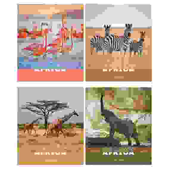 Тетрадь 96л., А5, клетка ArtSpace &quot;Животные. Nature of Africa&quot;, суперэконом