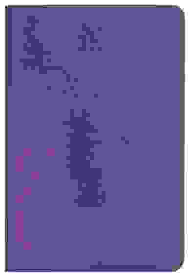 Ежедневник НЕДАТИРОВ 128л А5ф цветной форзац и срез Ляссе VIENNA CREATIVE Фиолетовый