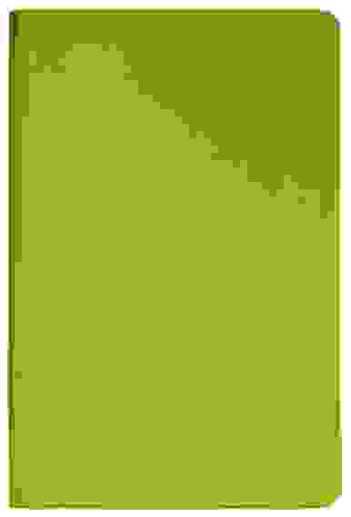 Ежедневник НЕДАТИРОВ 128л А5ф цветной форзац и срез Ляссе VIENNA CREATIVE Салатовый