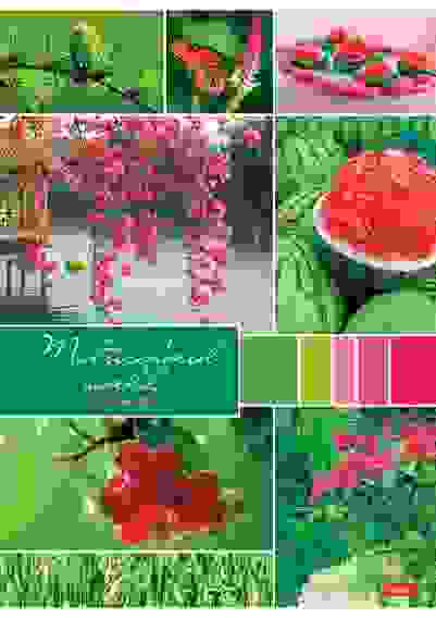 Тетрадь 96л А4ф клетка на скобе серия -Разноцветный мир-