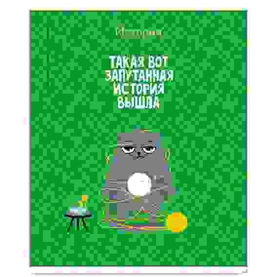 Тетрадь предметная 48л. История, ТВИН-лак ArtSpace "Котоцинизм"