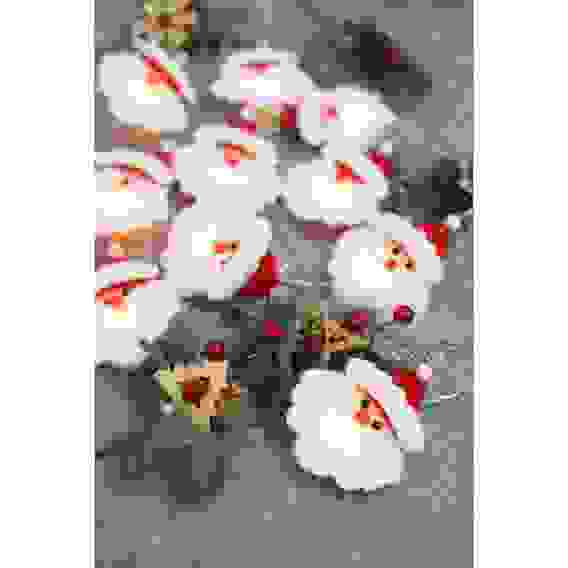 Гирлянда эл. насадка &quot;Дед Мороз&quot; 2м, 10LED*шампань,пост.свеч,фетр,ПВХпрозр,2хАА СНОУ БУМ