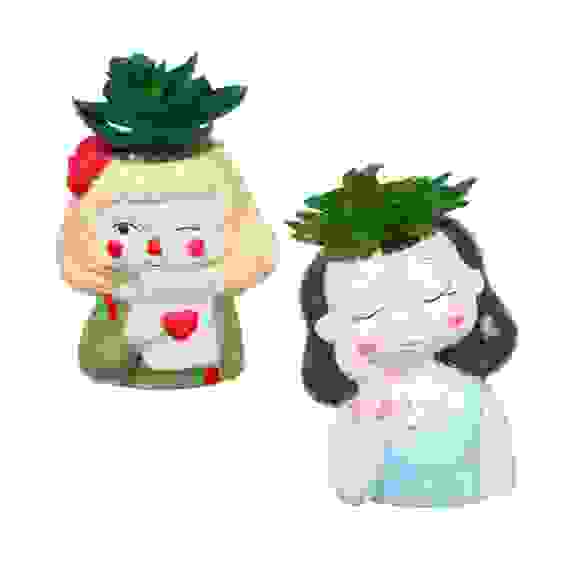 Акция! Суккулент декоративный в кашпо, керамика, пластик, 8x15 см, 2 вида