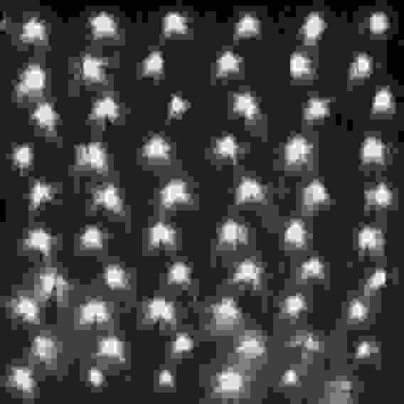 Гирлянда для улицы СЕТКА ш2,0* в3м 384 ламп LED, прозр.пров,8 реж.,IP-54, Белый (возможность соедине