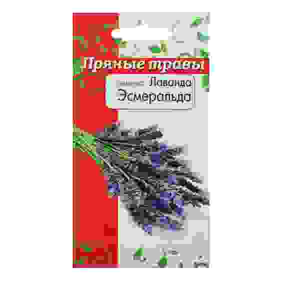 Семена Лаванда