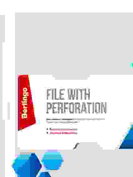 Папка-вкладыш с перфорацией Berlingo, А4, 30мкм, глянцевая (цена за штуку)