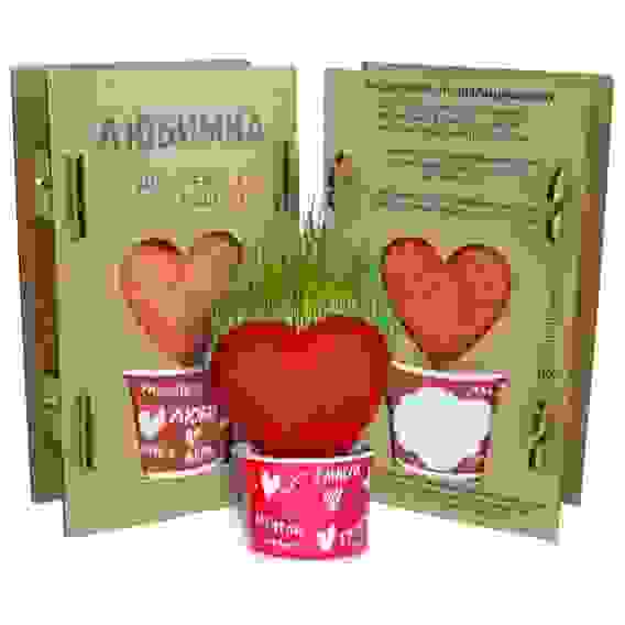 Сувенир растущий - Любимка