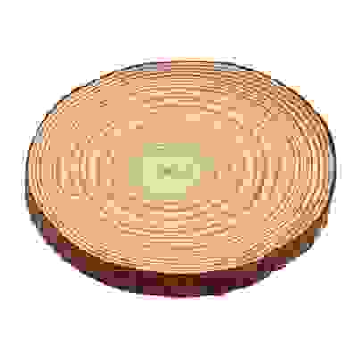 Спил сосновый для декора 10-11х1см INBLOOM