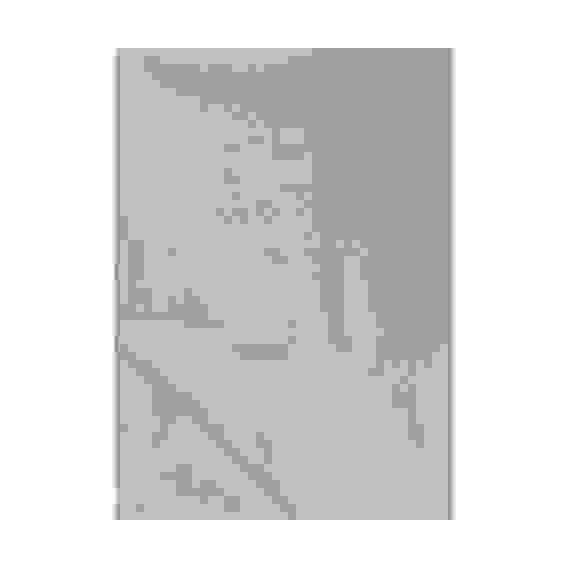 Простыня PROVANCE 2сп, 180х214см, 100% хлопок, поплин, зеленый