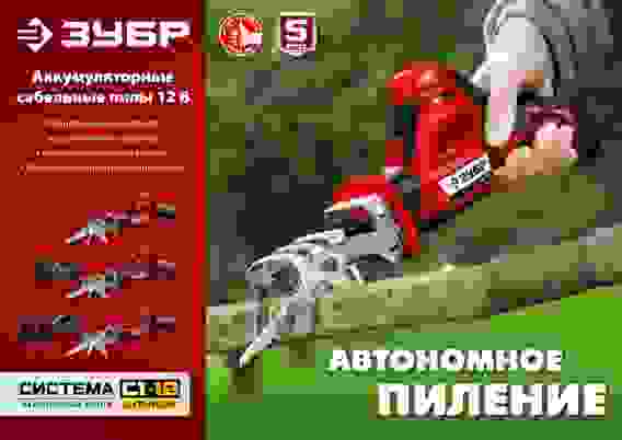 Пила сабельная аккум. ЗУБР СПЛ-125-22 (2 АКБ (2Ач), 12В, 80мм)