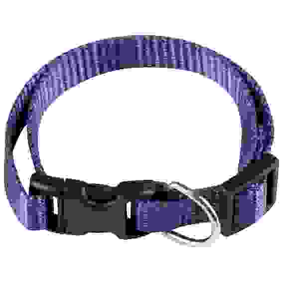 Ошейник с застежкой, размер S, 20-30 см