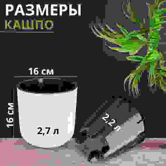 Горшок цв. "Линель" 2,7л двойной (белый) (уп.10)