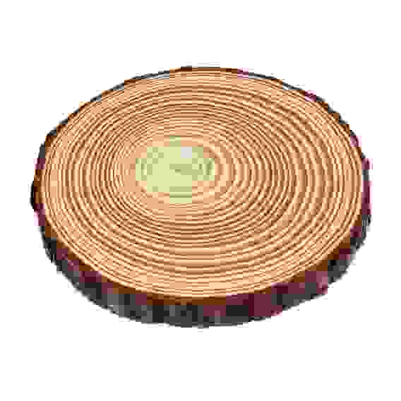 Спил сосновый для декора 15-16х1.5см INBLOOM