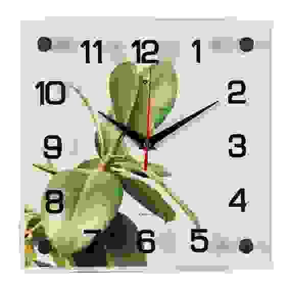 Часы настенные &quot;Фикус&quot; Рубин