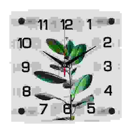 Часы настенные &quot;Фикус Эластика&quot; Рубин