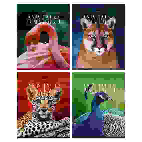 Тетрадь 96л., А5, клетка BG &quot;Животные&quot;, глянцевая ламинация