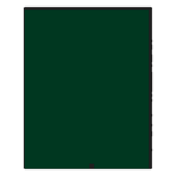 Тетрадь 48л., А5 клетка, бумвинил, зеленый BG