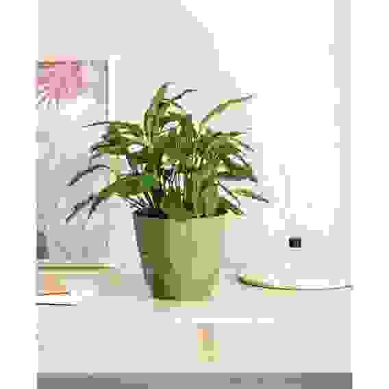 Горшок для цветов Laurel 2,3 л с поддоном (зеленый), 221610918/01 (замена 911705) IDIland