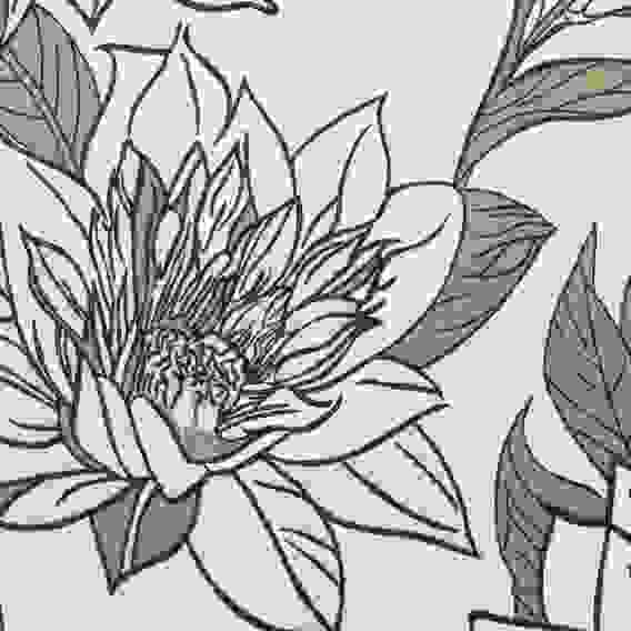 Хейзел Комплект постельного белья 1,5 (4 предмета), поплин, 100% хлопок PROVANCE