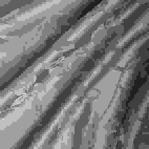 Гортензия Скатерть жаккард 140х230см с водоотталкивающей пропиткой, 100% полиэстер, серый PROVANCE