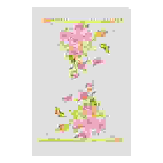 Чайная роза Полотенце кухонное, 100% хлопок, 38х63см PROVANCE