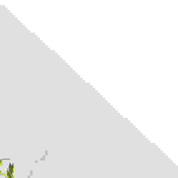 Чайная роза Полотенце кухонное, 100% хлопок, 38х63см PROVANCE