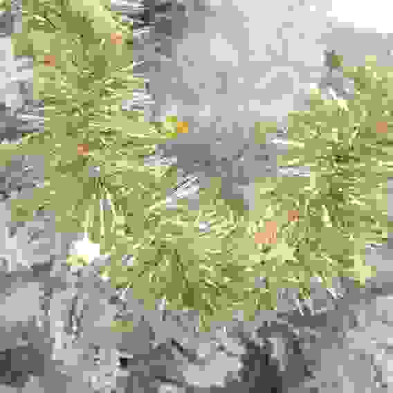 Мишура с декоративной лентой, 6х200см, ПВХ, золотая СНОУ БУМ