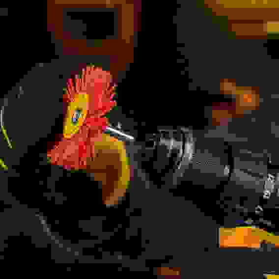 Щетка для дрели, 65 мм, Плоская, со шпилькой, нейлоновая щетина// Denzel