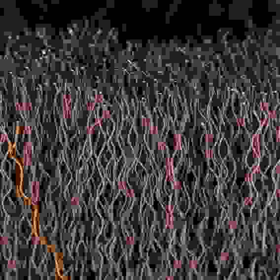 Щетка для УШМ, 100 мм, М14, Чашка, витая нержавеющая проволока 0,3 мм// Denzel