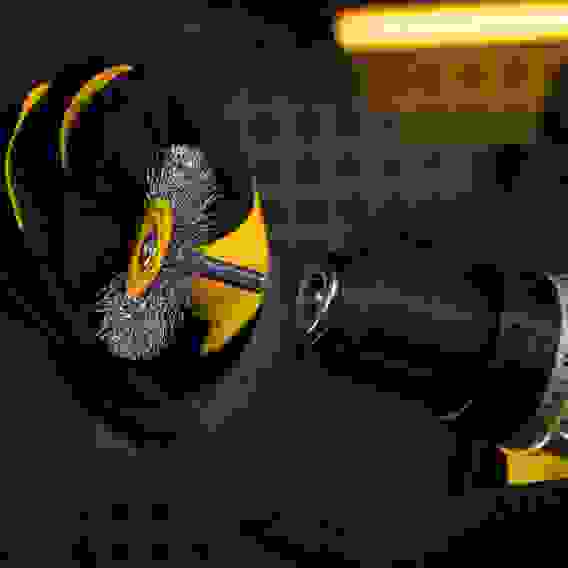 Щетка для дрели, 60 мм, Плоская, со шпилькой, нержавеющая витая проволока// Denzel