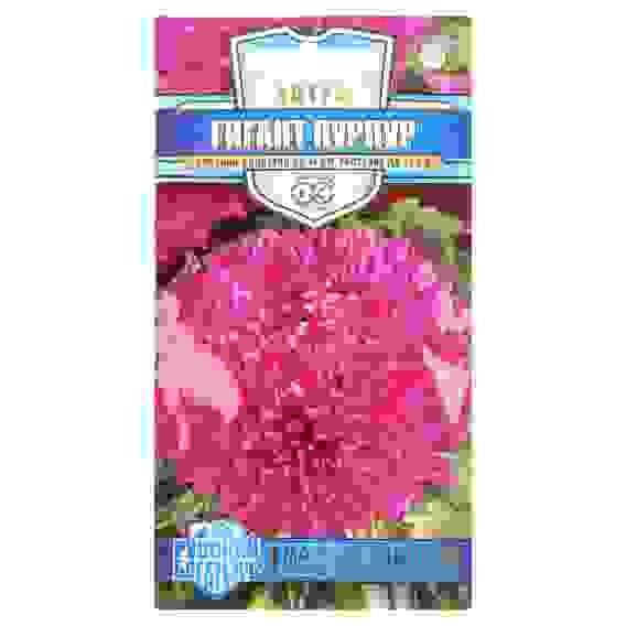 Семена Астра Гигант пурпур, однолетняя (игольчато-коготковая) 0,05гр, серия Русский богатырь Н18