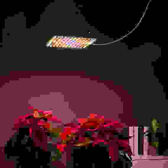 Подвесная фитолампа 169LED (W28; Y84; R41; B8; G8), 25х25см, 45Вт, 220В (24В), IP20 INBLOOM