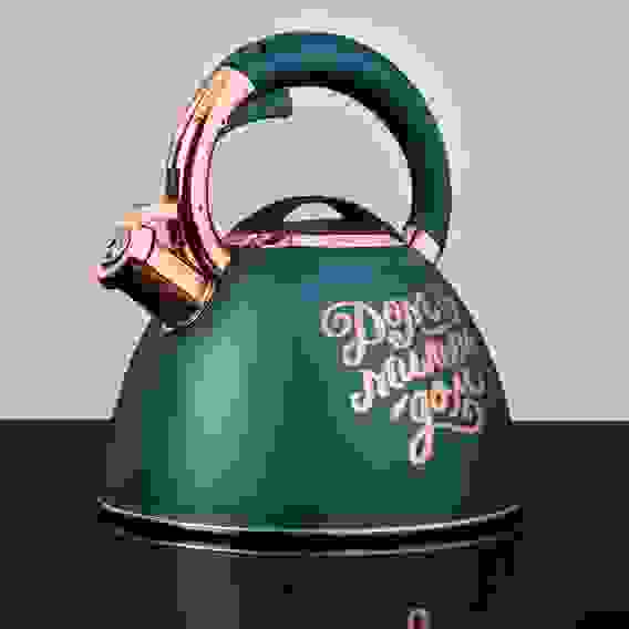 Чайник стальной 2,7л \"Арно\", индукция VETTA