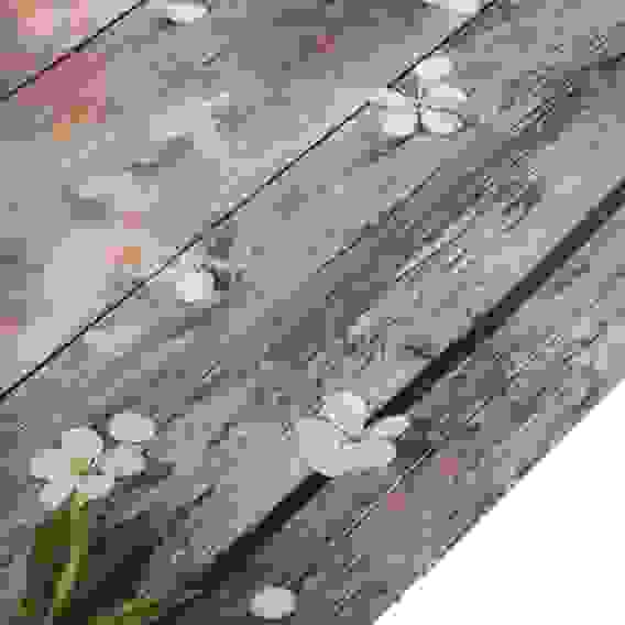 Салфетка сервировочная, полипропилен, 41x26см, 5 дизайнов